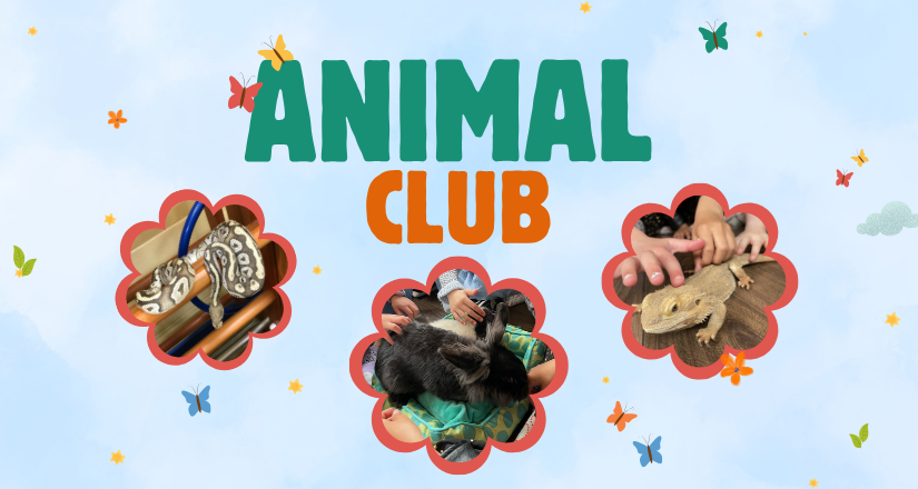 Animal Club - Bourne